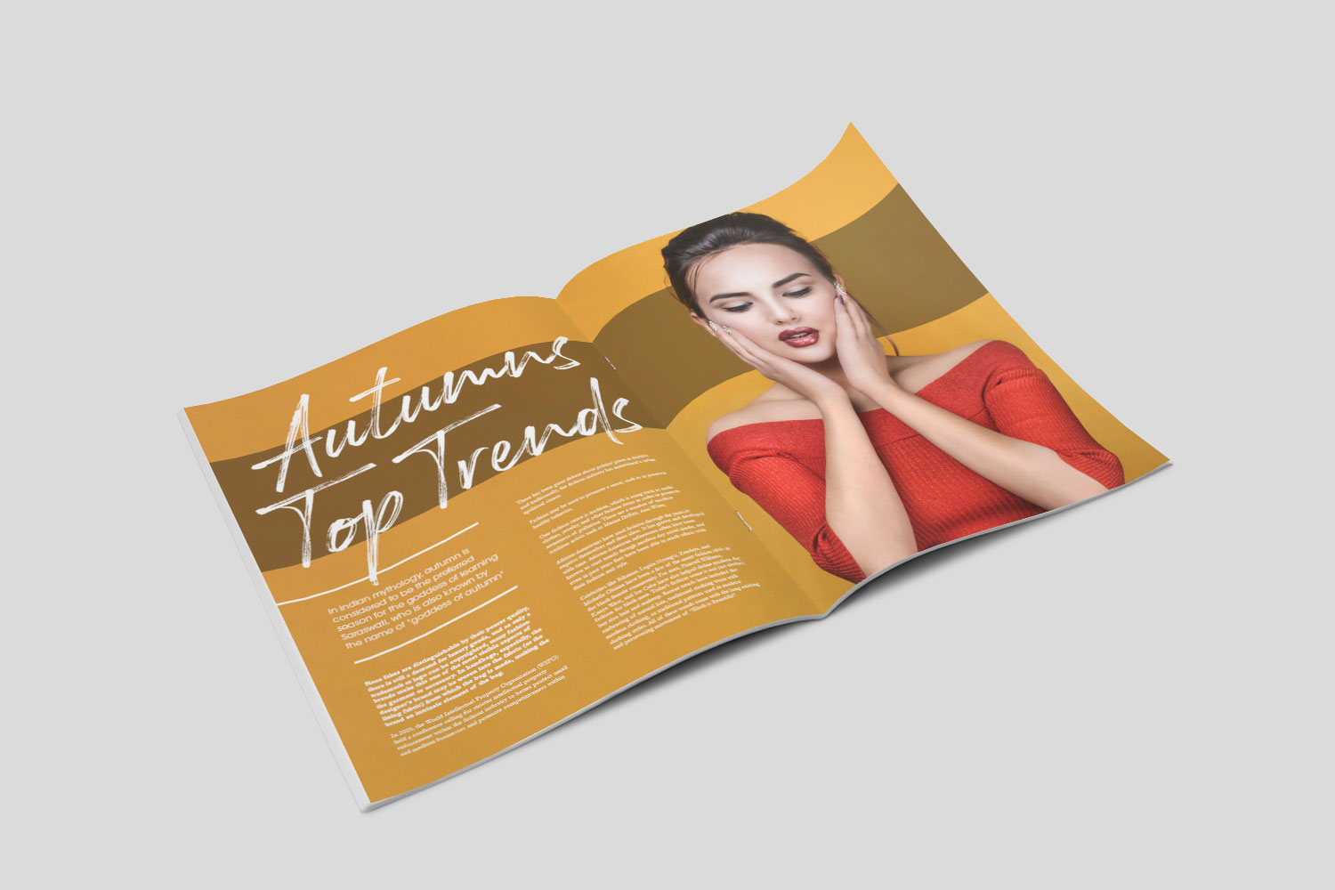 Brochures